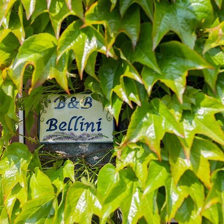 B&B Bellini Milo Exteriör bild