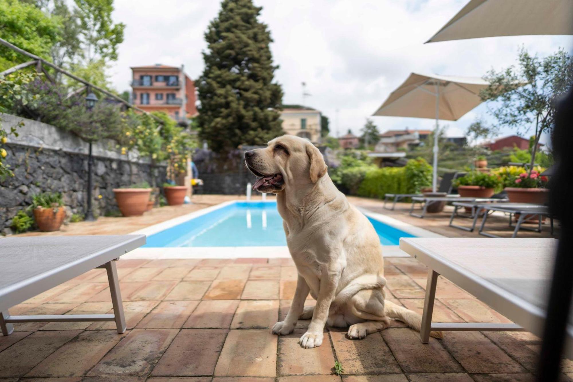 B&B Bellini Milo Exteriör bild